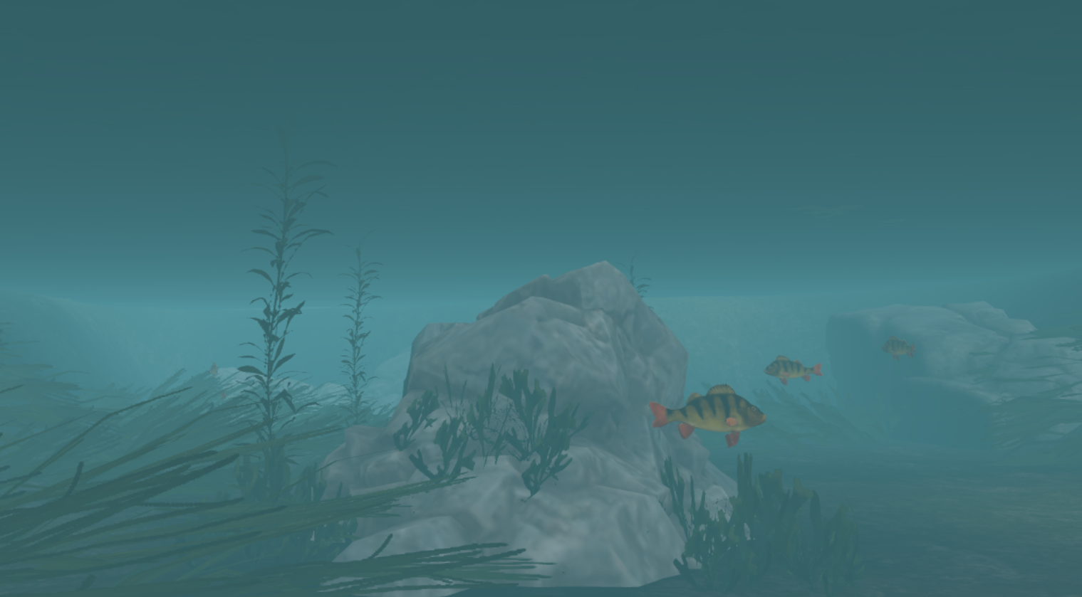 Underwater environment